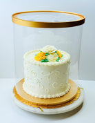 Tall Round Clear Cake Box with Window - 10 Inch Diameter x 12.5 Tall -  Round cake box