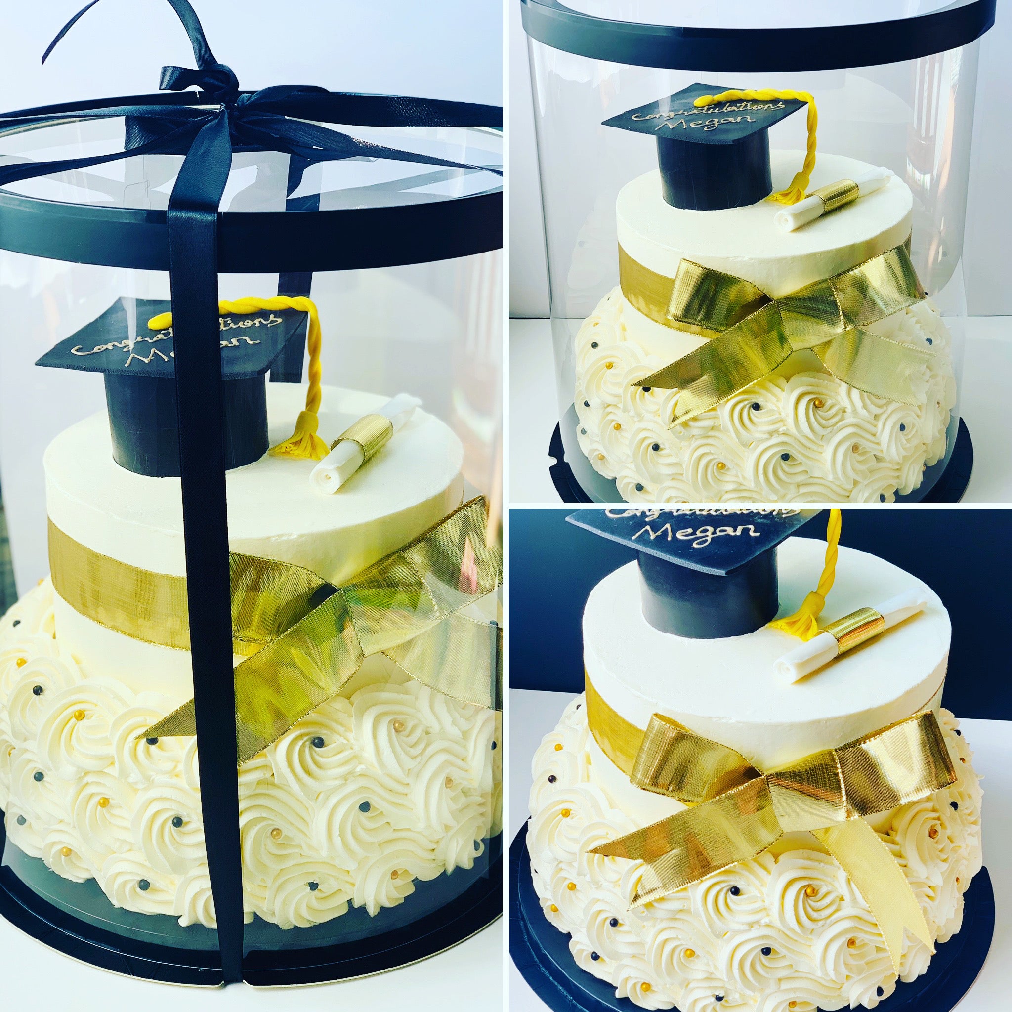 Tall Large Round Clear Cake Box