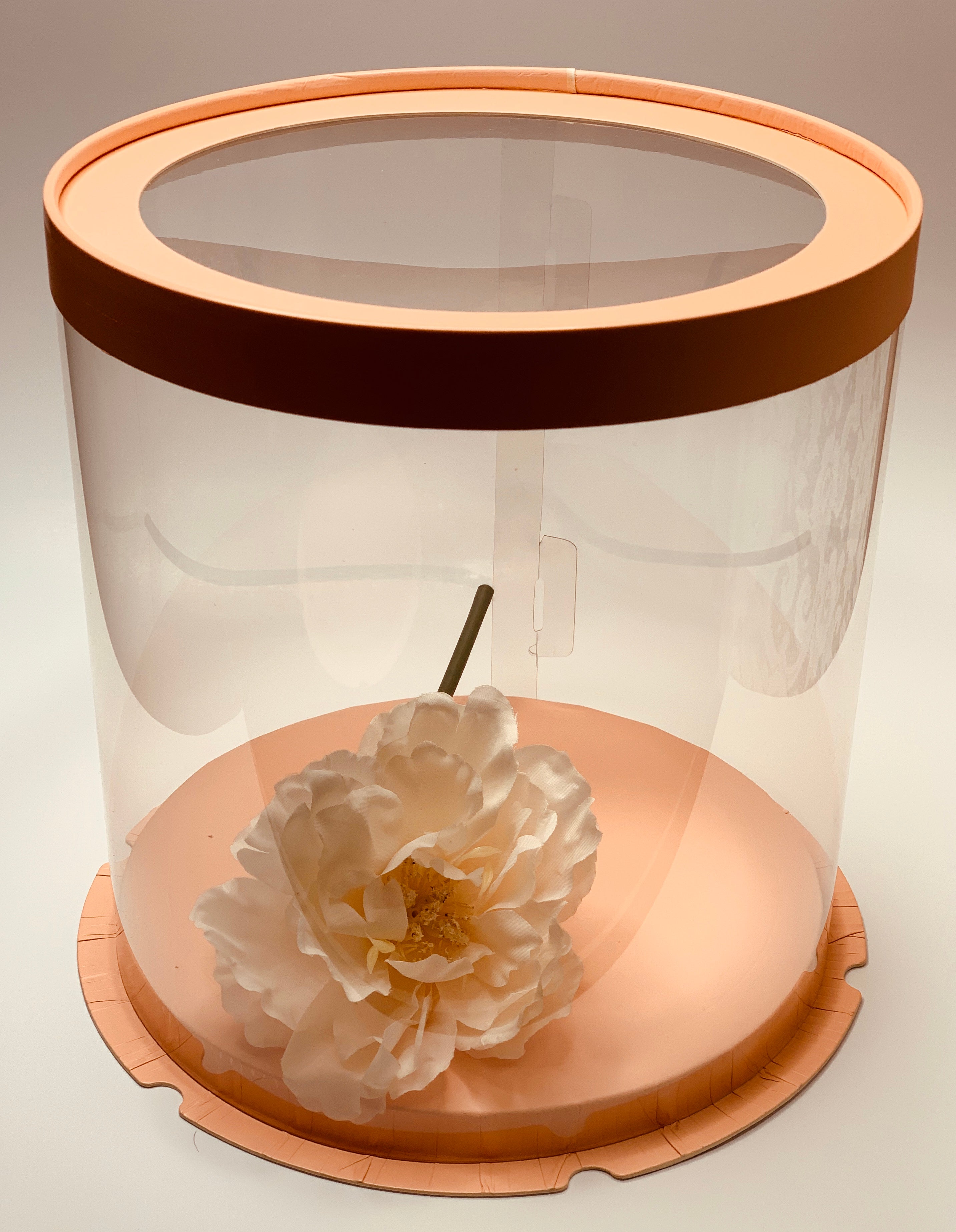 Pink Round Clear Cake Box