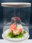 10" Diameter x 12.5" Tall Clear Round Cake Box