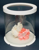 8.5" Diameter x 11.75" Tall Clear Round Cake Box