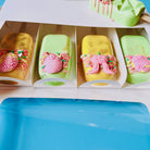 Popsicle Cakesicle Cake Pop Boxes with Window 4 Dividers