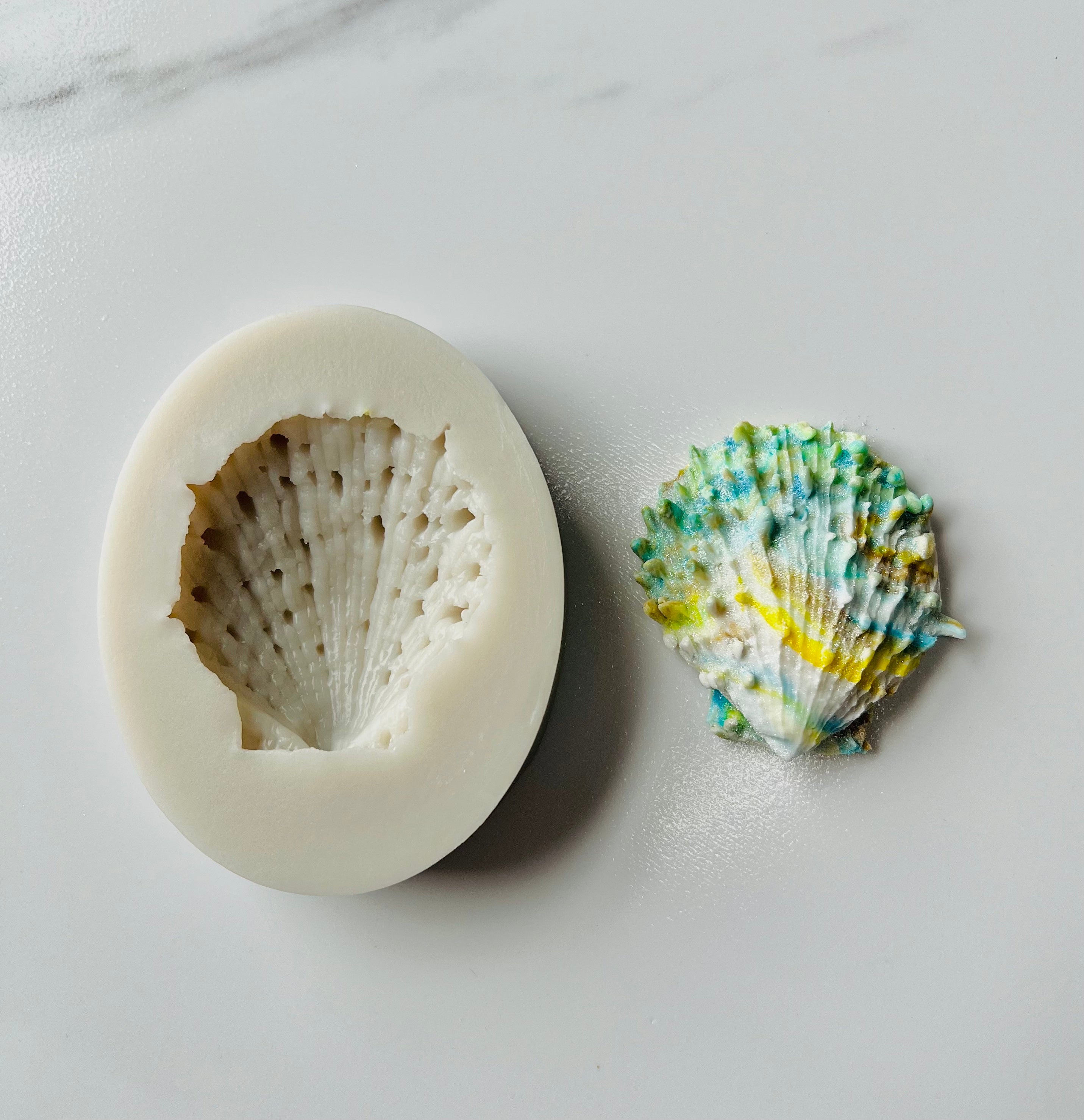 seashell molds