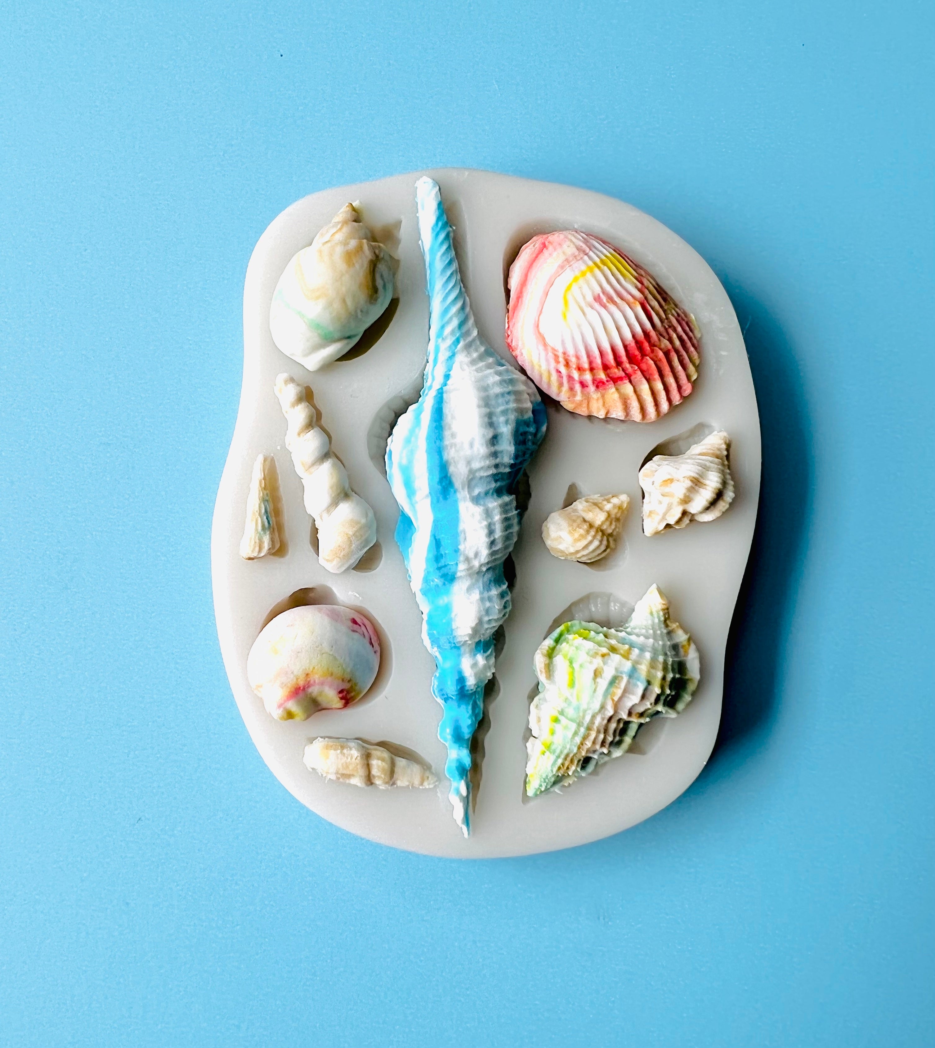 seashell molds