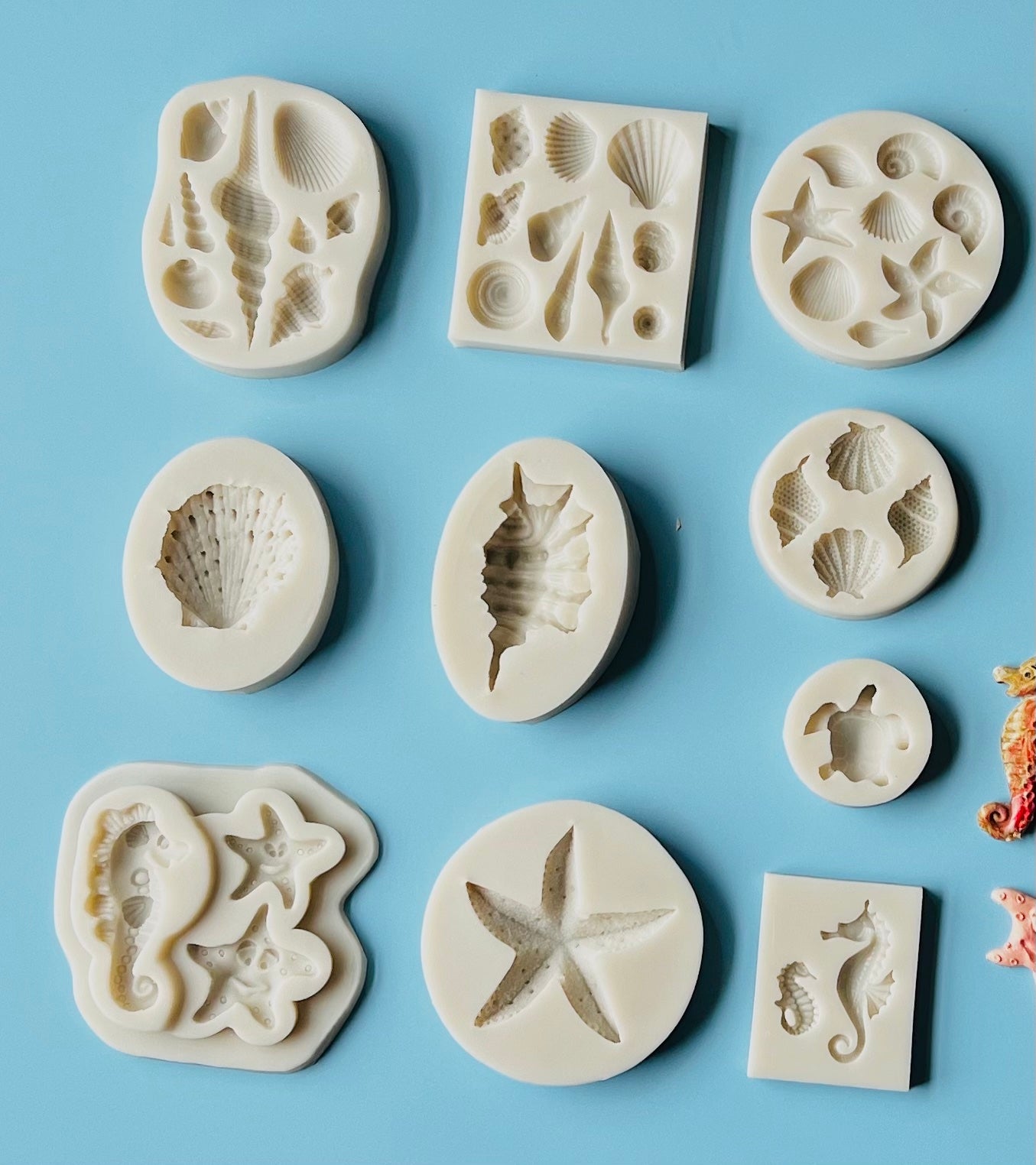 seashell molds