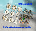 seashell molds