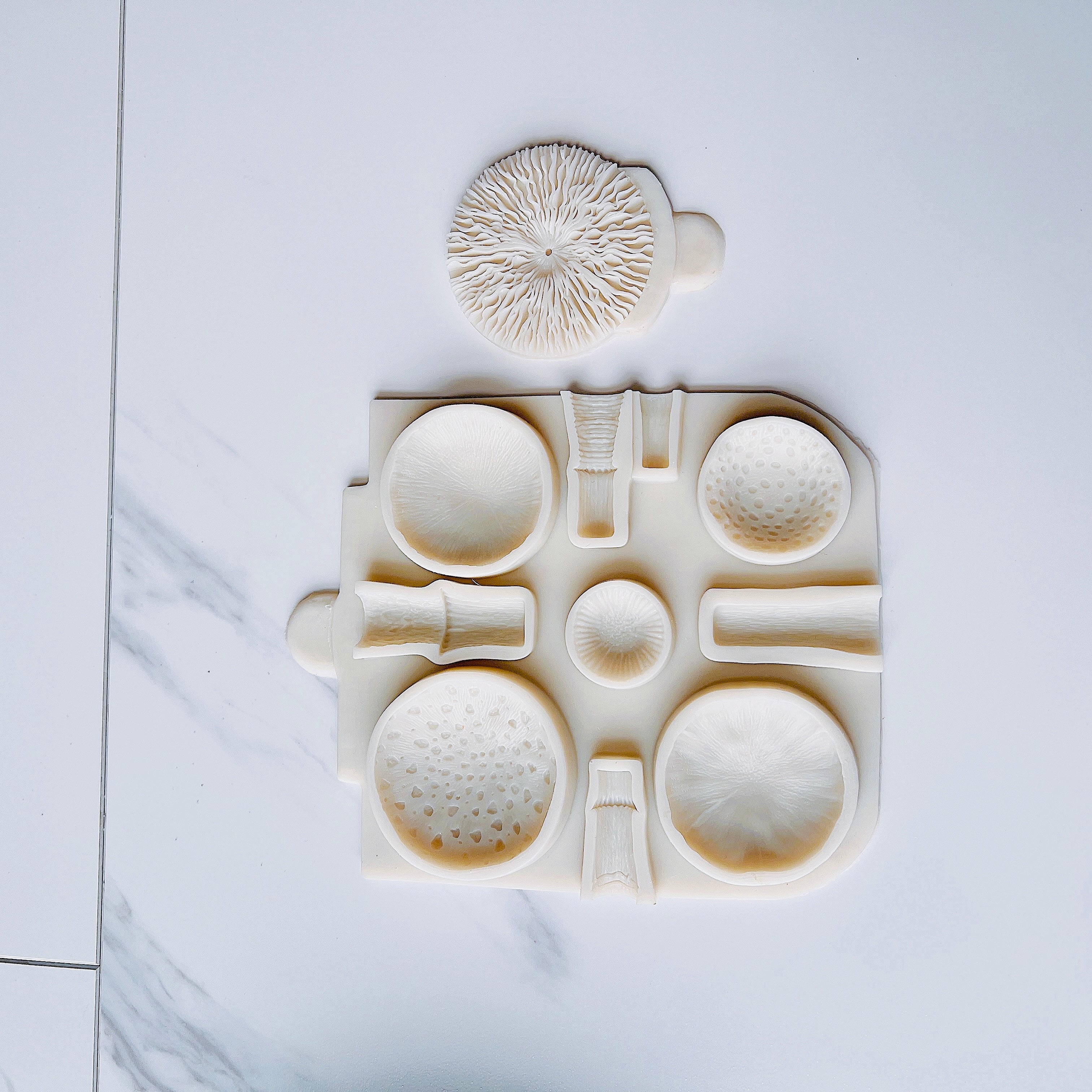 mushroom silicone mold