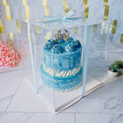 Large Tall Clear Cake Box