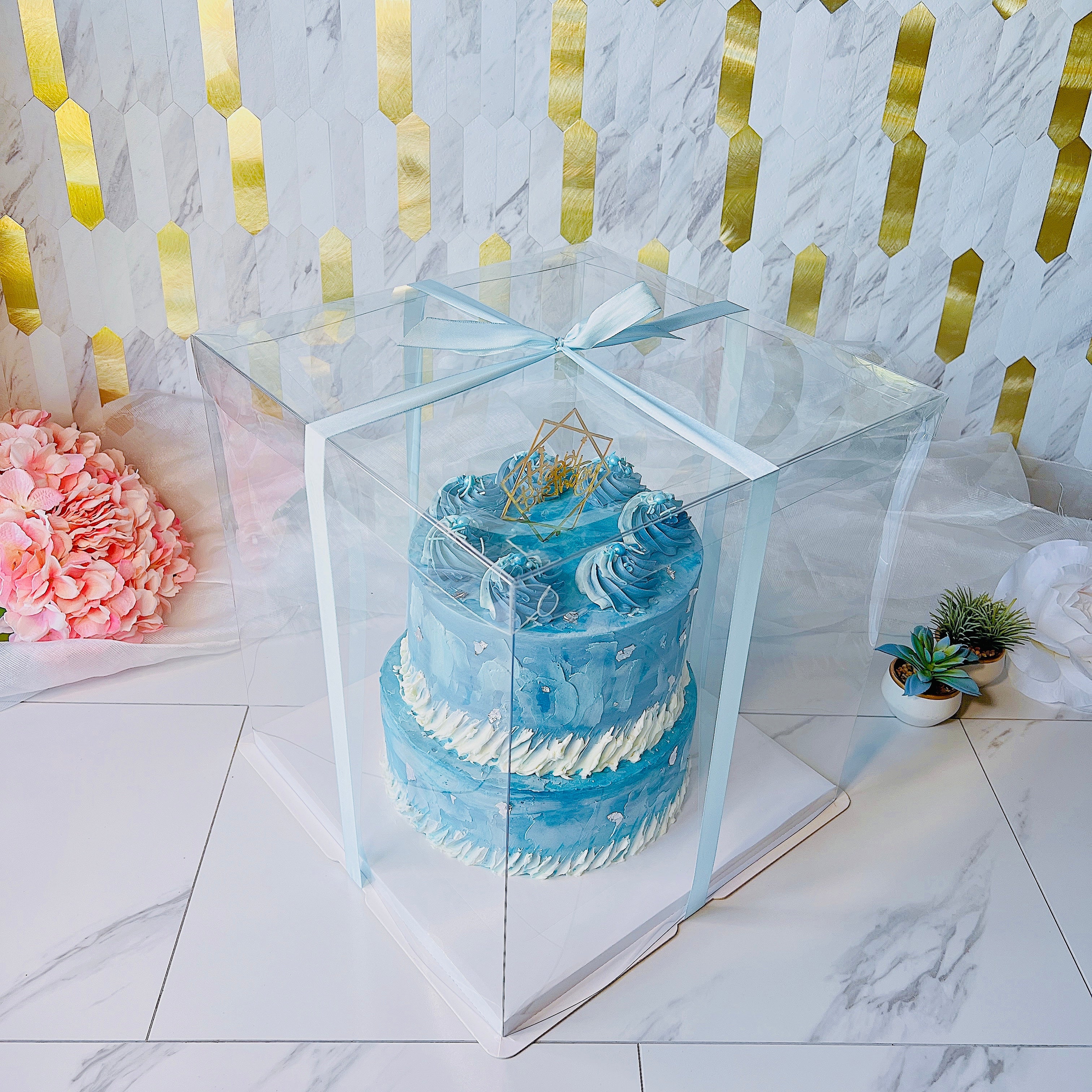 Large Tall Clear Cake Box