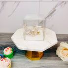 Individual Clear Cupcake Boxes