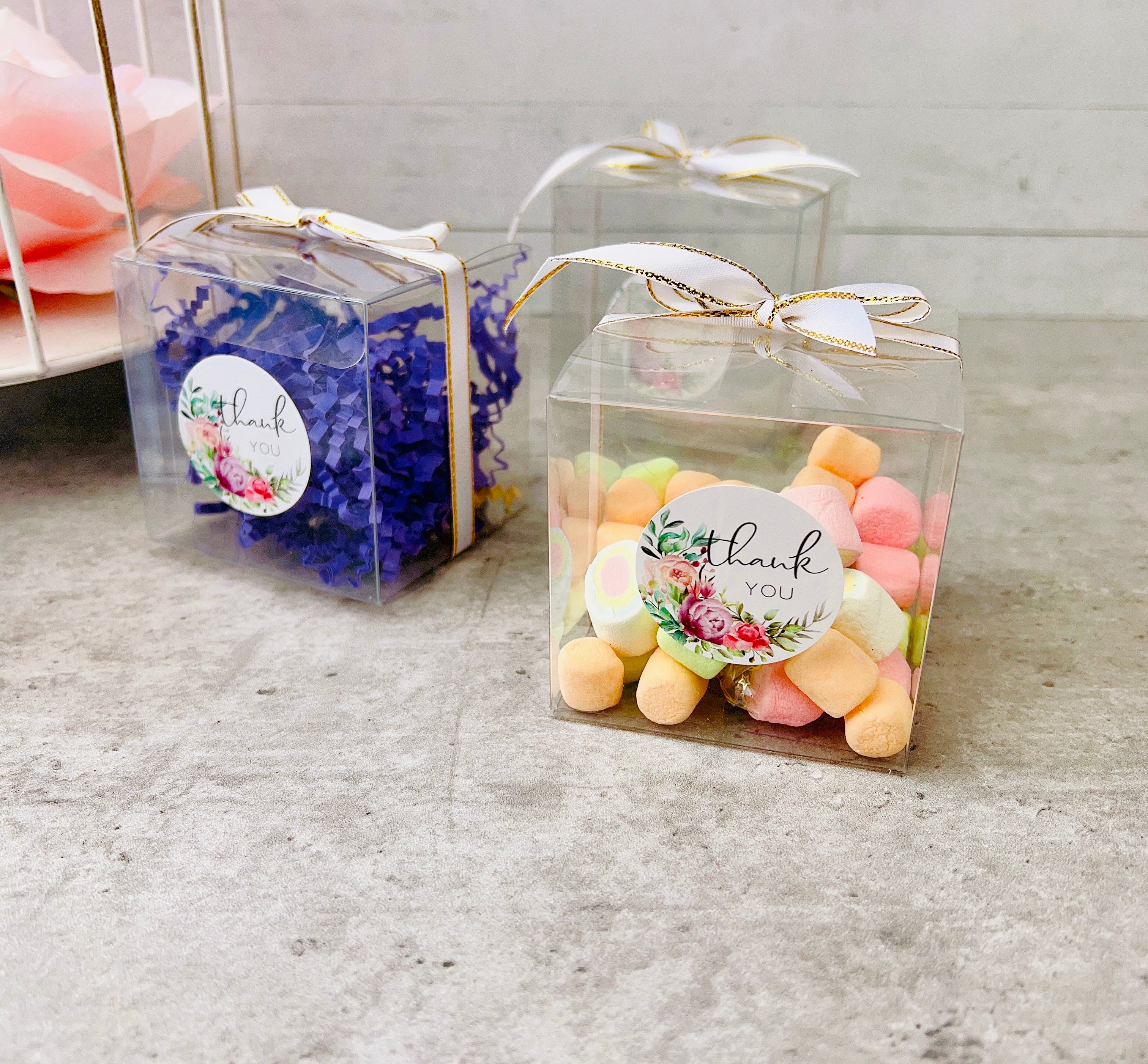 Small Square Clear Macaron Wedding Favor Boxes