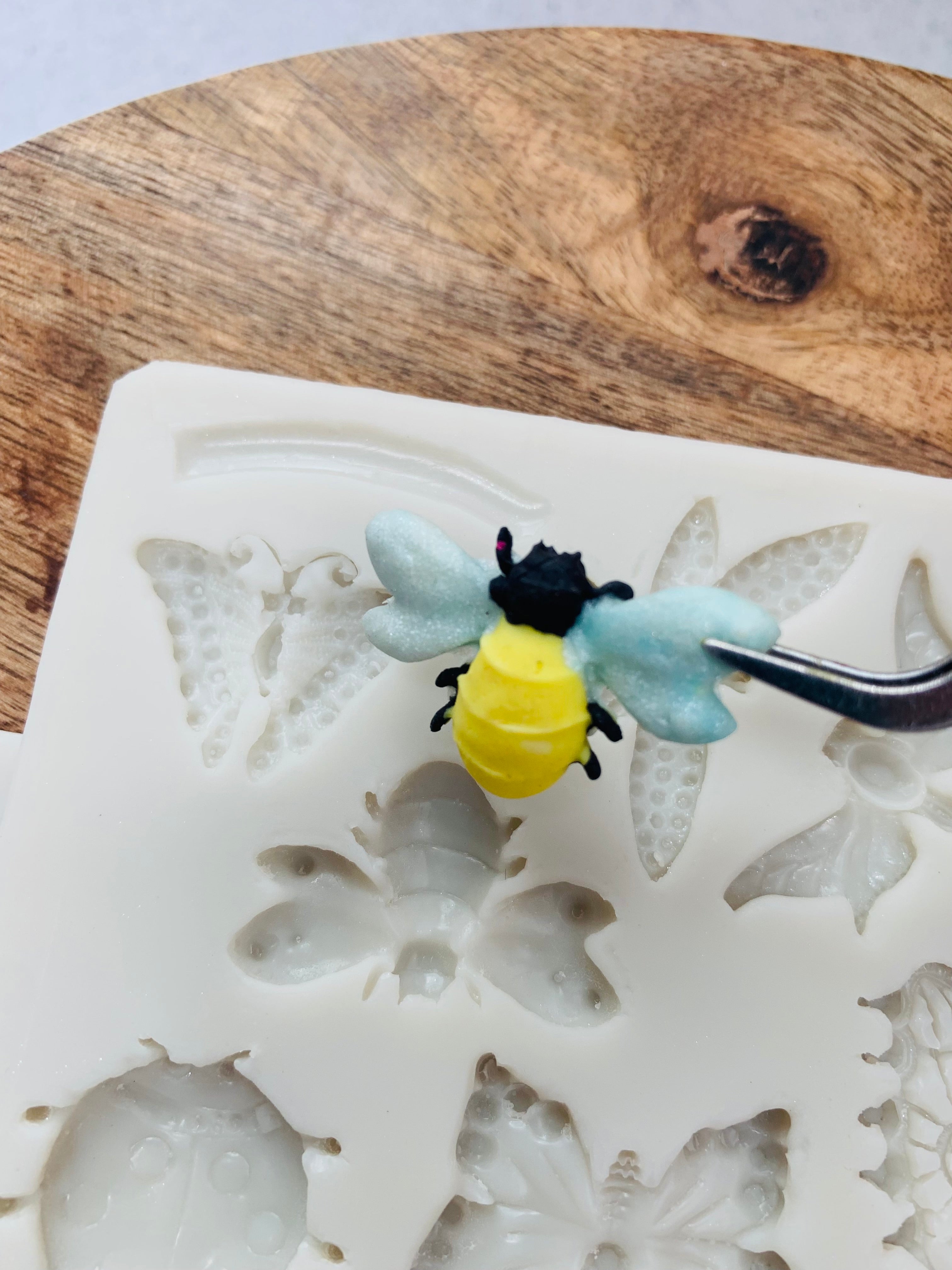 Butterfly Dragonfly Ladybug Bee Moth Food Grade Silicone Mold