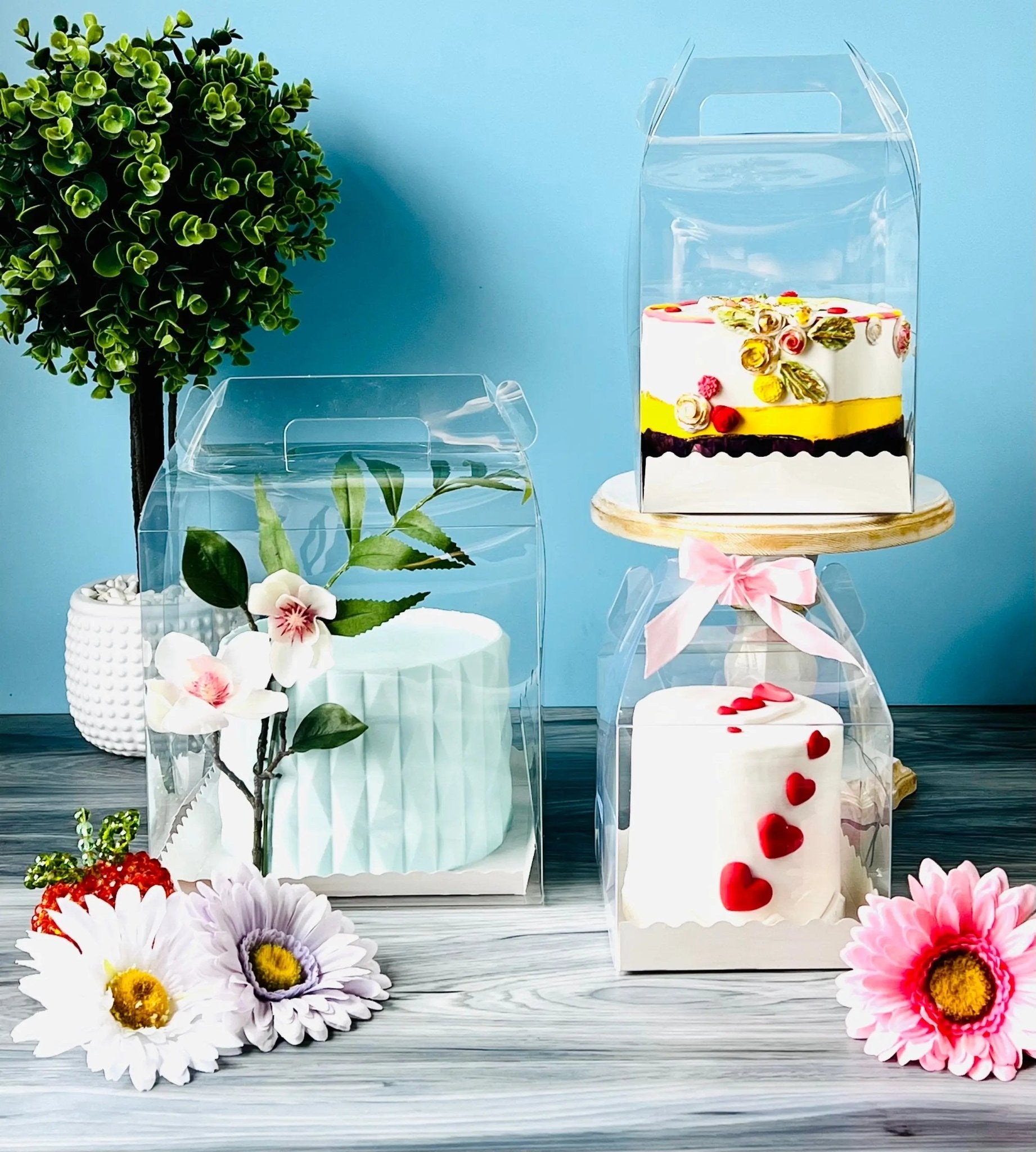 Clear Cake Desserts Boxes with Handle - H575 Square Cake box