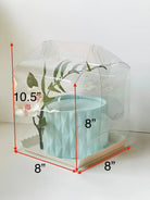 Clear Cake Desserts Boxes with Handle - H8105 Square Cake box