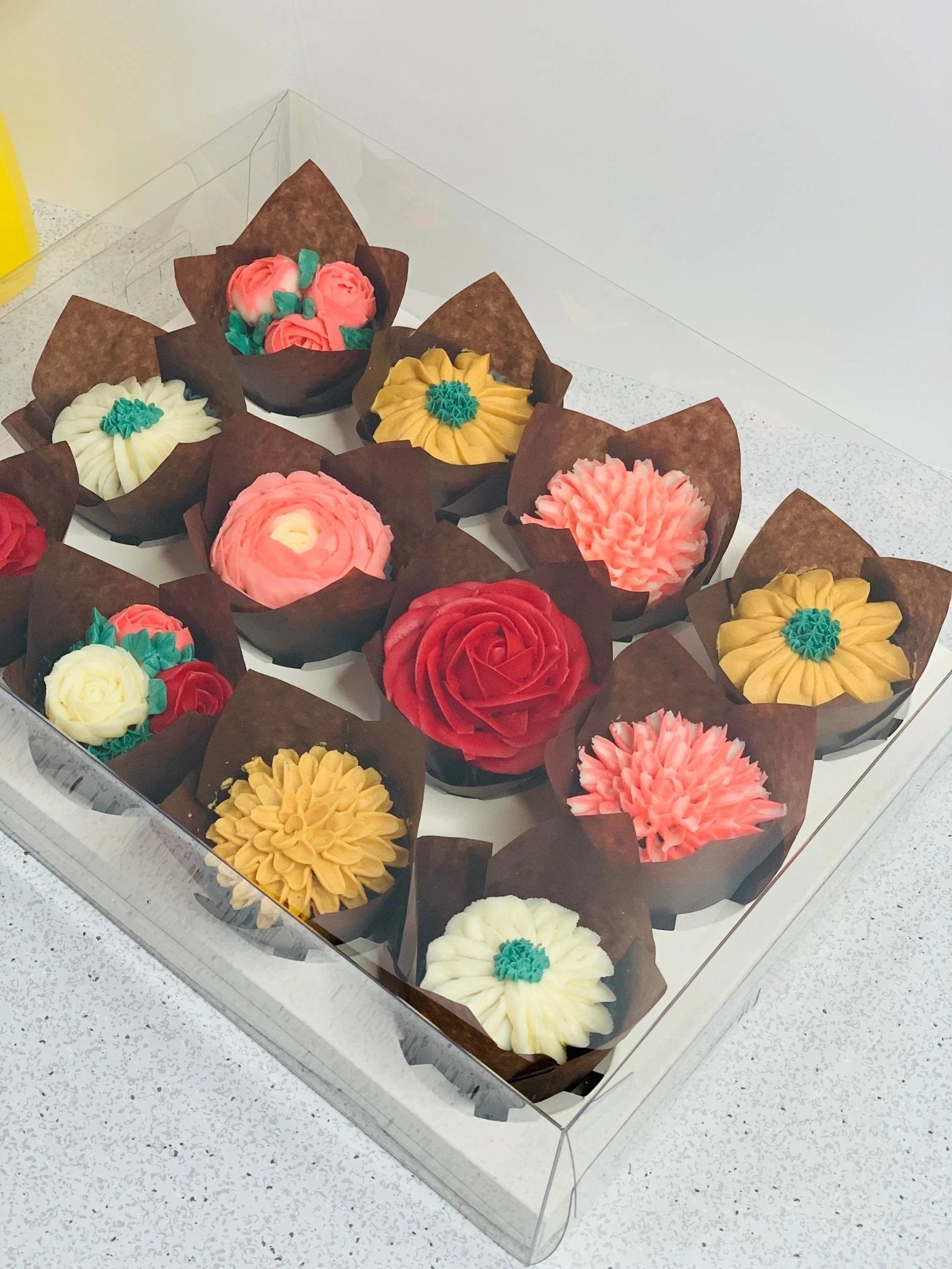 Clear Cupcake & Muffin Boxes with 12 Holes - cupcake12Sweet Degrees Kitchen