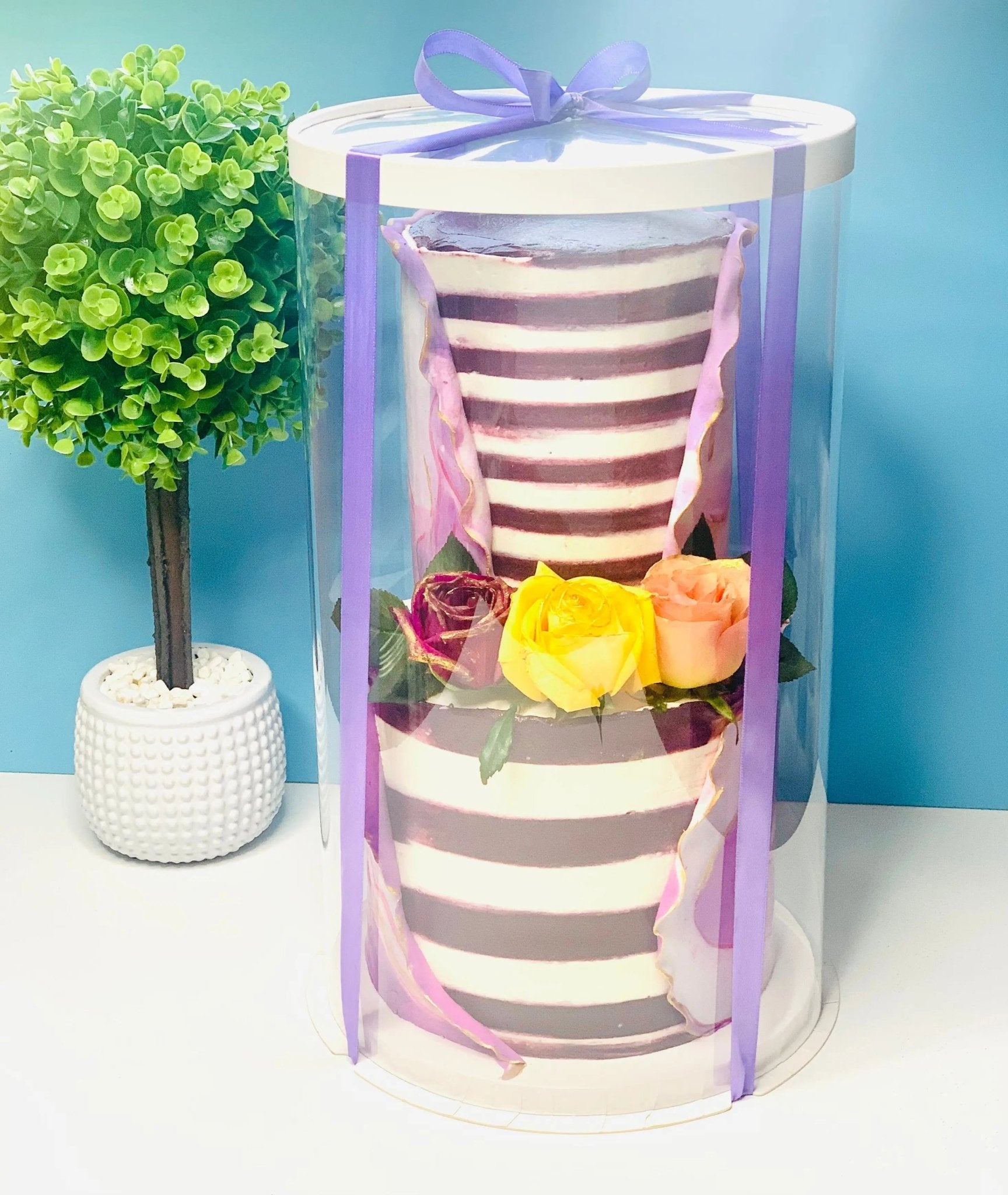 Extra Tall Round Clear Cake Box - 10" D x 17.5" H - Clear Cake Boxes for Tall Tiered Cakes - RW10175 Round cake box