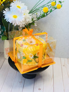 orange 8 Inch Square Clear Cake Box