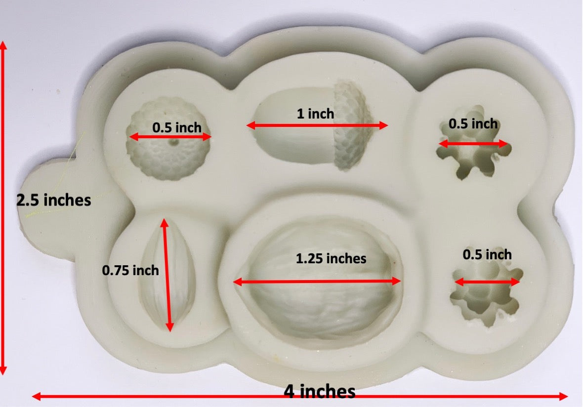 Nuts and Berries Silicone Mold