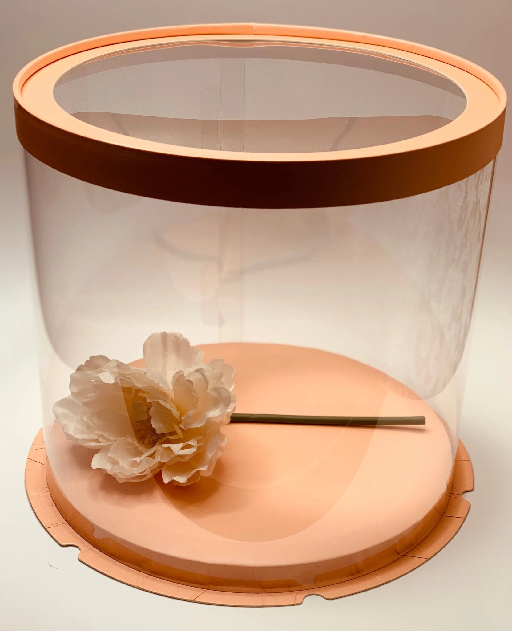 Round Clear Cake Box - 10" D by 9.5" Tall - Clear Cake Boxes with Window - Clear Gift Box -  Round cake box