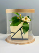 Round Clear Cake Box - 8.5" D by 9" Tall - Transparent Cake Boxes - Clear Gift Box - RW859 Round cake box