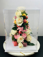 Tall Clear Cake Box Square 10"L x 10"W x 12"H - Extra Tall Clear Cake Boxes - Sweet Degrees Kitchen